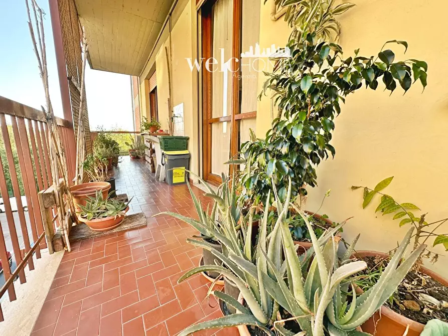 Immagine 25 di Appartamento in vendita  a Campi Bisenzio