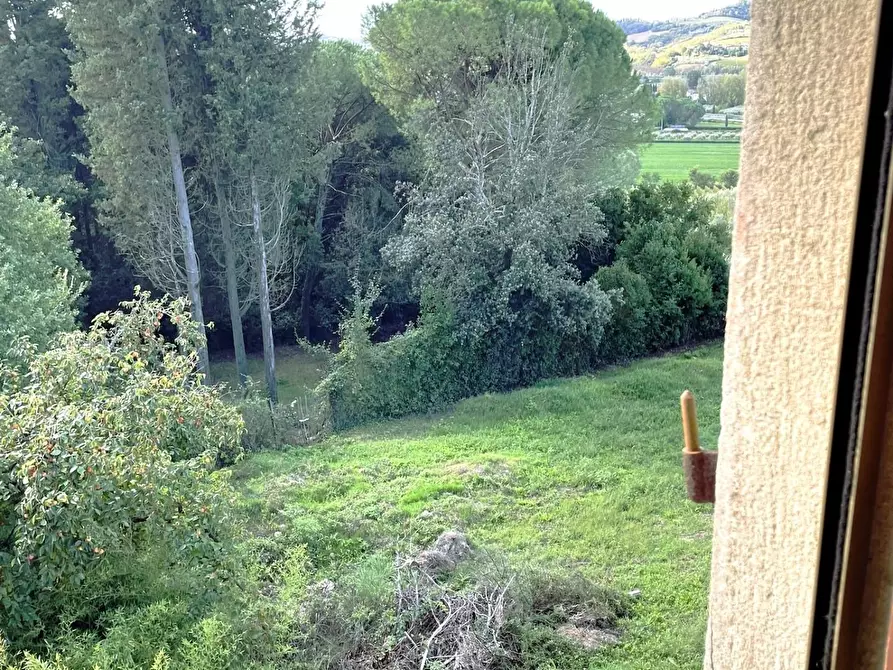 Immagine 53 di Villa in vendita  a Empoli