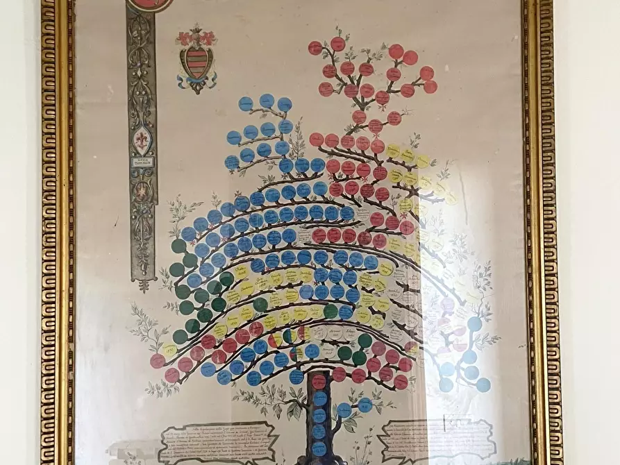 Immagine 11 di Villa in vendita  a Empoli