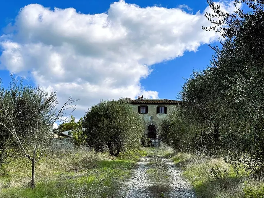 Immagine 18 di Villa in vendita  a Empoli
