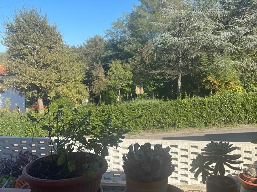 Immagine 11 di Appartamento in vendita  a Santa Maria A Monte