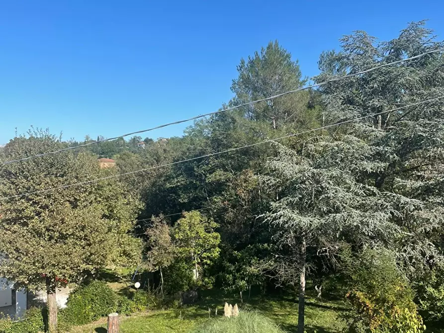 Immagine 12 di Appartamento in vendita  a Santa Maria A Monte