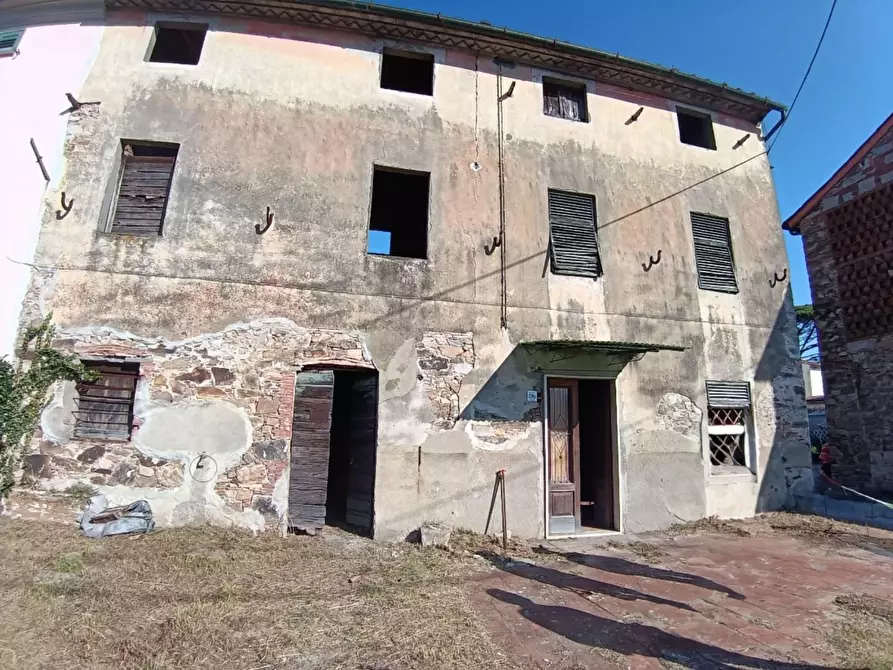 Immagine 2 di Terratetto in vendita  a Capannori