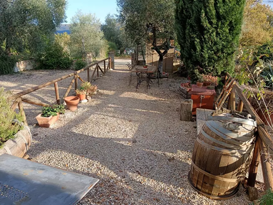 Immagine 3 di Appartamento in vendita  a Colle Di Val D'elsa