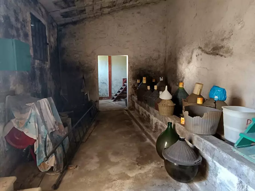 Immagine 43 di Casa indipendente in vendita  a Capannoli