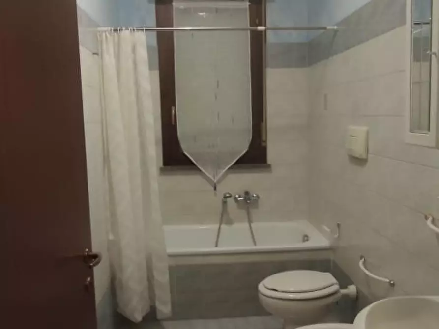 Immagine 12 di Appartamento in affitto  a Grosseto