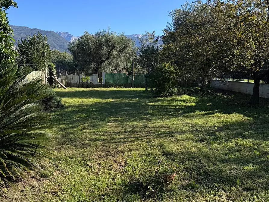 Immagine 1 di Casa bifamiliare in vendita  a Massa