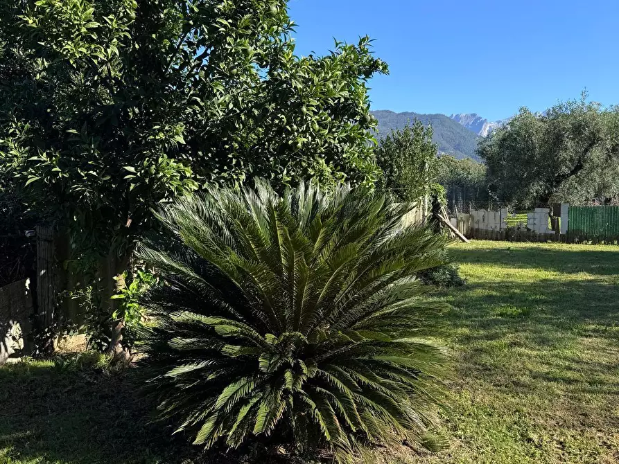 Immagine 3 di Casa bifamiliare in vendita  a Massa