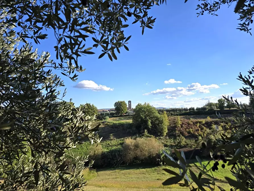 Immagine 7 di Terreno agricolo in vendita  a Colle Di Val D'elsa