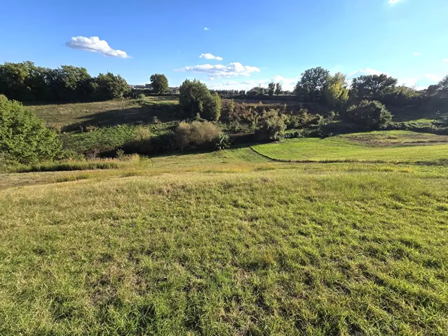 Immagine 4 di Terreno agricolo in vendita  a Colle Di Val D'elsa