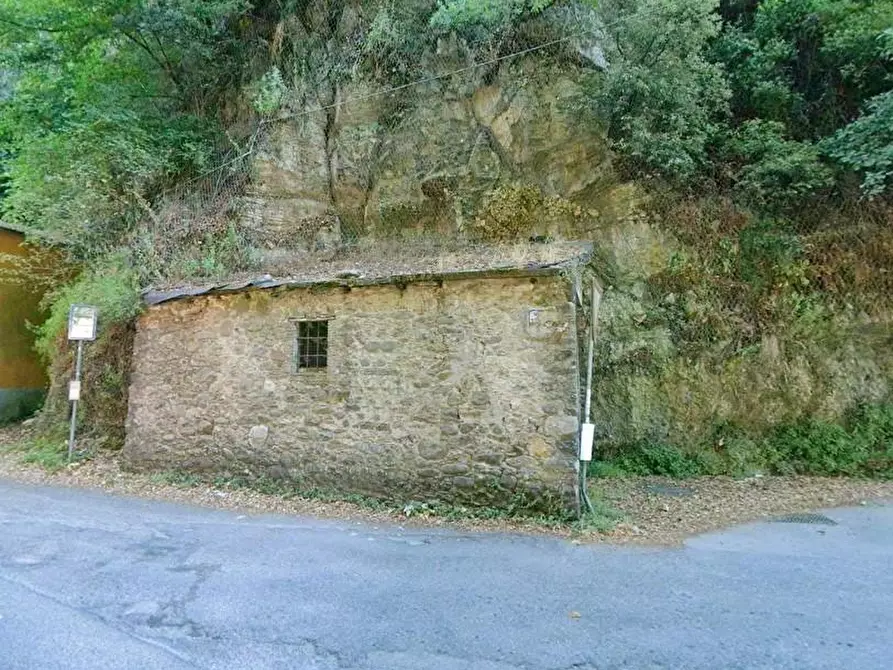 Immagine 2 di Garage in vendita  a Borgo A Mozzano