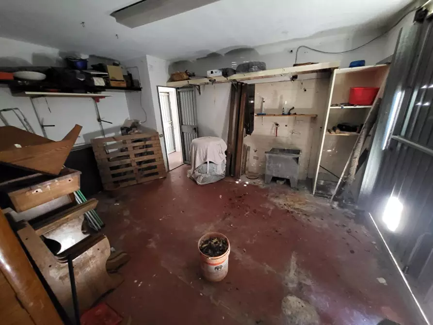 Immagine 13 di Appartamento in vendita  a Calcinaia