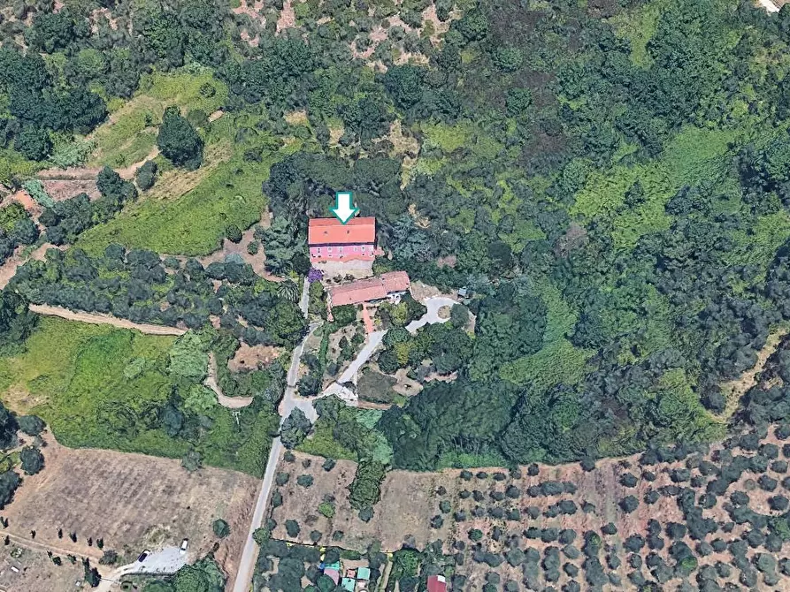 Immagine 1 di Appartamento in vendita  a Vecchiano