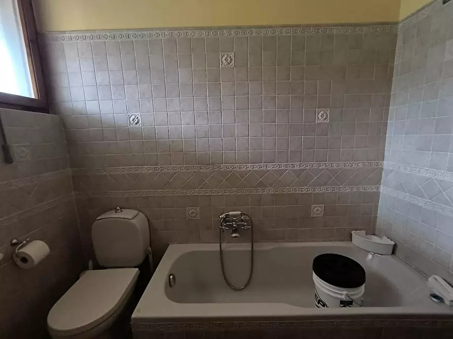 Immagine 27 di Appartamento in affitto  a Pisa