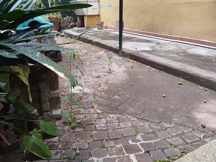 Immagine 10 di Appartamento in vendita  a Pisa