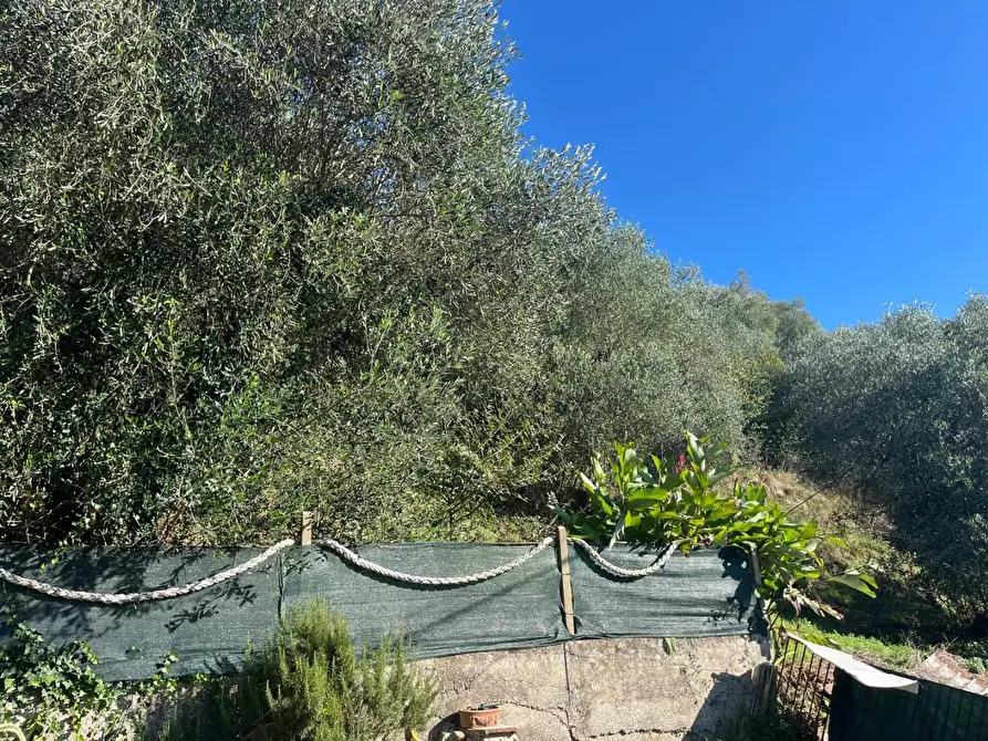 Immagine 26 di Terratetto in vendita  a San Giuliano Terme