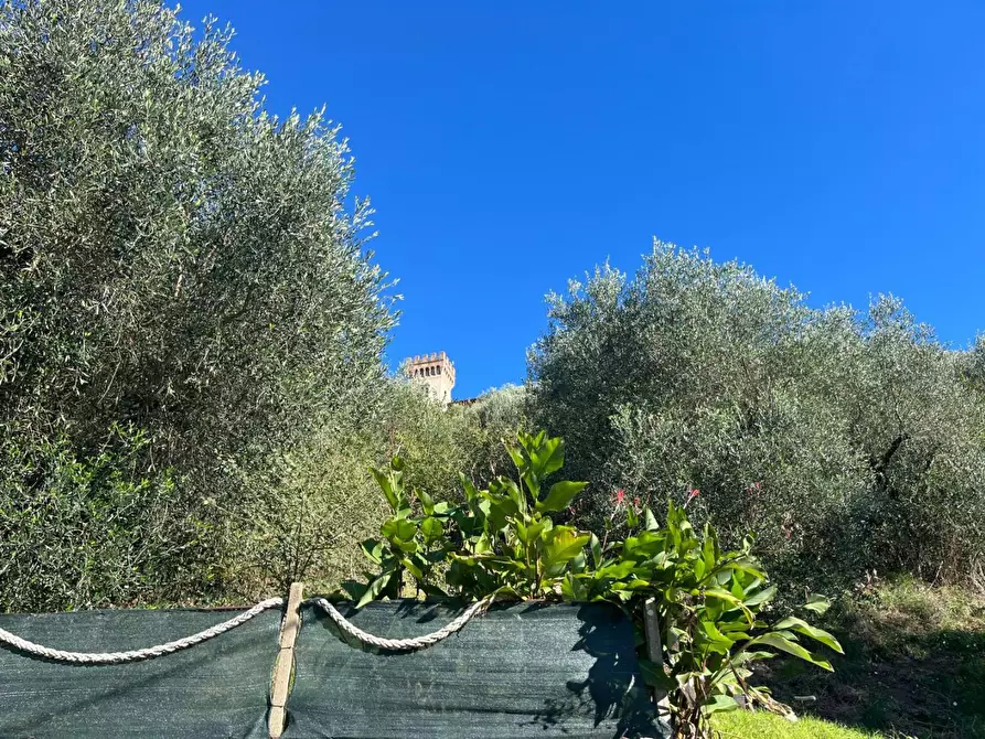 Immagine 30 di Terratetto in vendita  a San Giuliano Terme