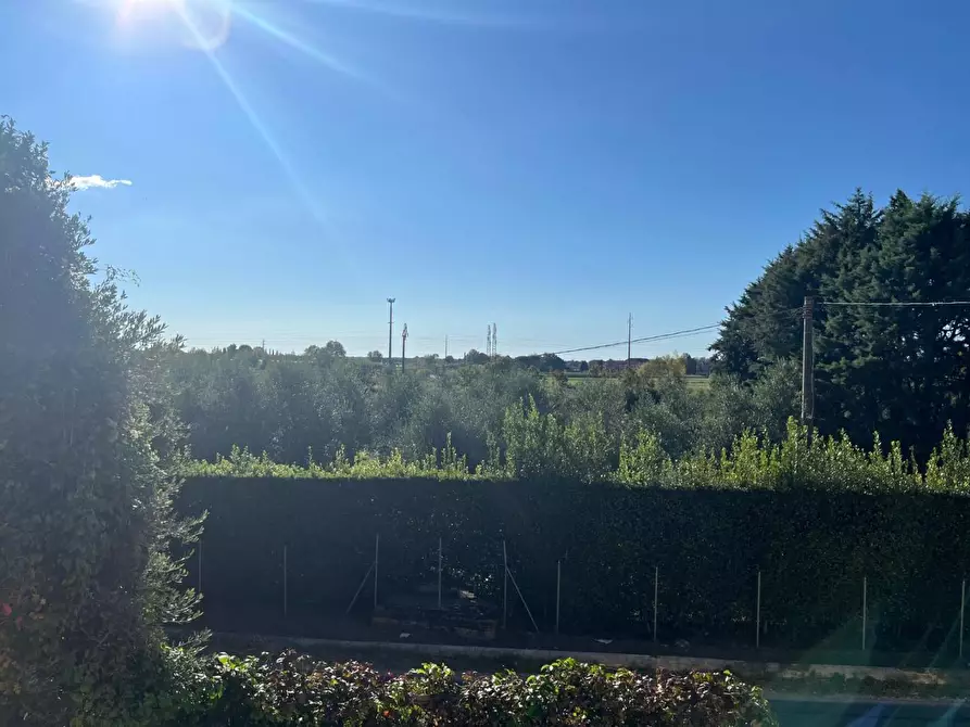 Immagine 32 di Terratetto in vendita  a San Giuliano Terme