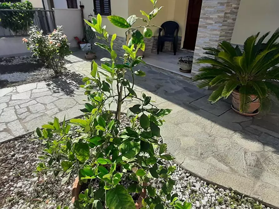 Immagine 2 di Terratetto in vendita  a Rosignano Marittimo