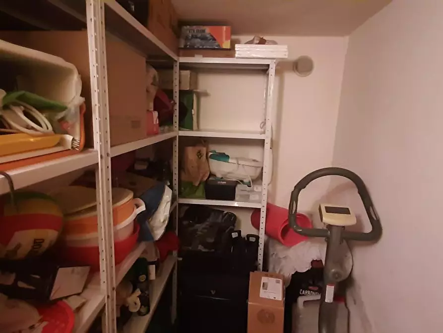 Immagine 39 di Terratetto in vendita  a Rosignano Marittimo