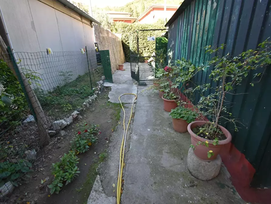 Immagine 34 di Terratetto in vendita  a Vecchiano