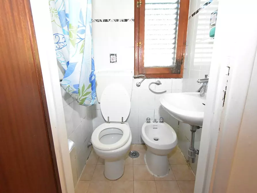 Immagine 16 di Terratetto in vendita  a Vecchiano