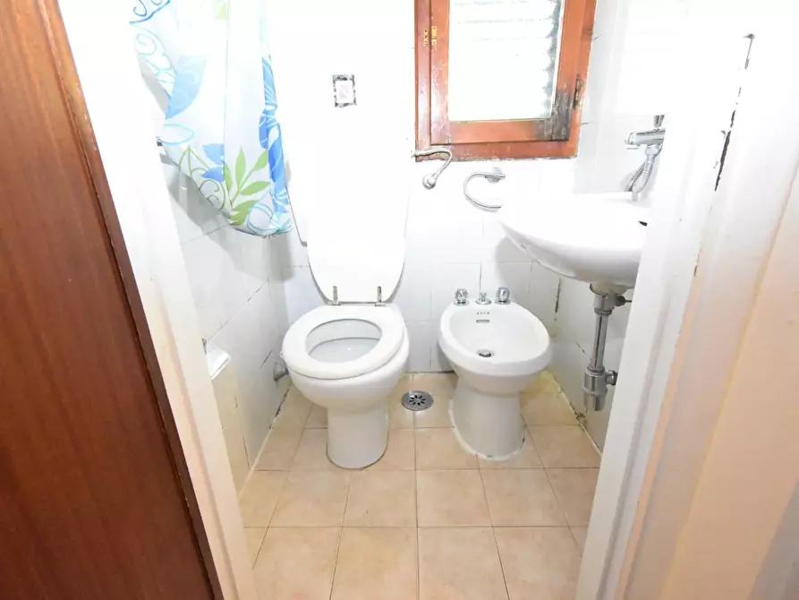 Immagine 15 di Terratetto in vendita  a Vecchiano