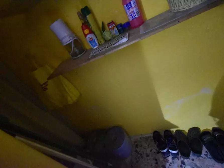 Immagine 13 di Terratetto in vendita  a Vecchiano