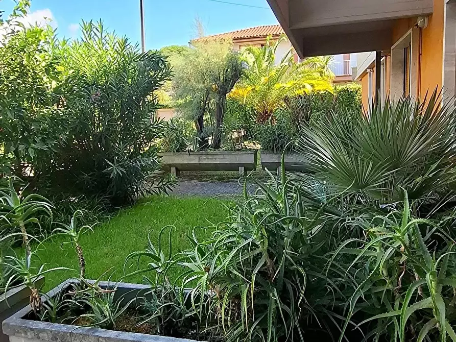 Immagine 3 di Appartamento in vendita  a Massa