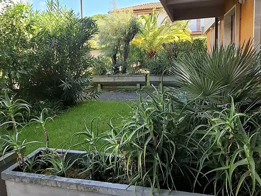 Immagine 2 di Appartamento in vendita  a Massa