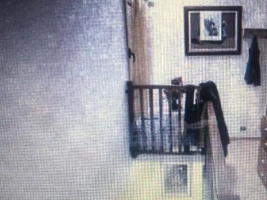 Immagine 3 di Appartamento in vendita  a San Giuliano Terme