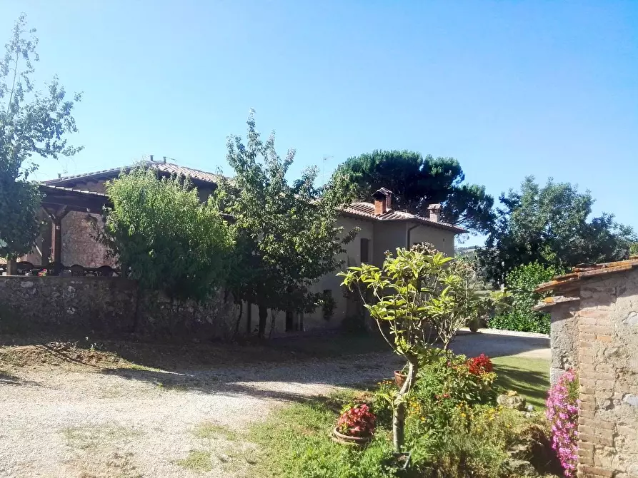 Immagine 24 di Casa colonica in vendita  a Sovicille