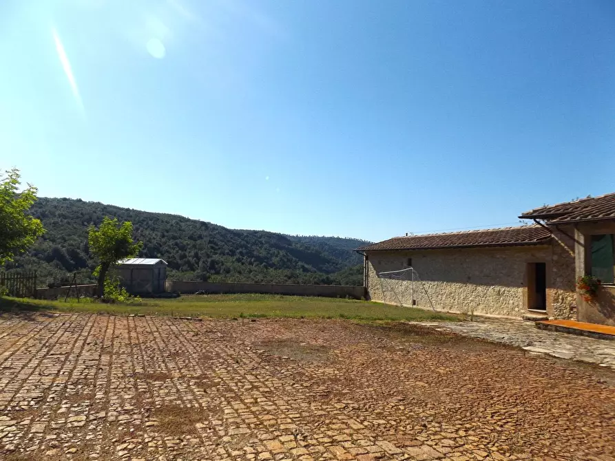 Immagine 43 di Casa colonica in vendita  a Sovicille