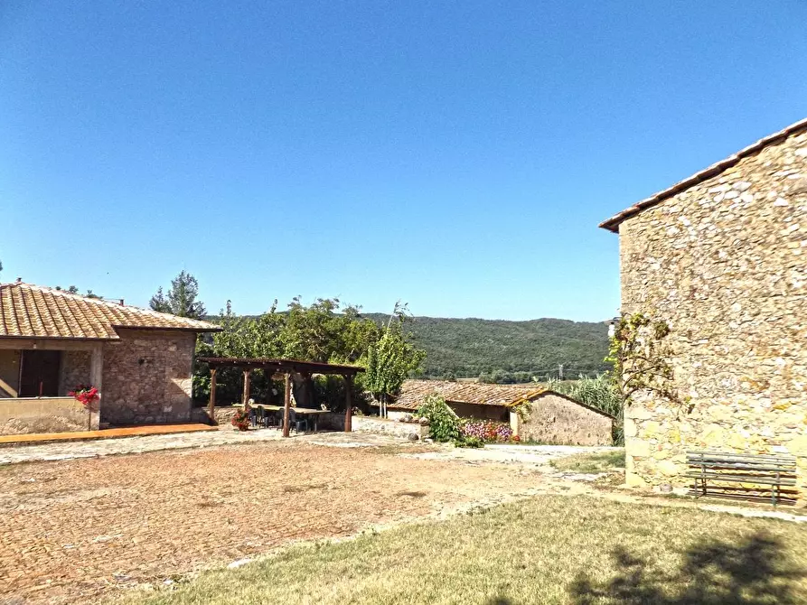 Immagine 3 di Casa colonica in vendita  a Sovicille