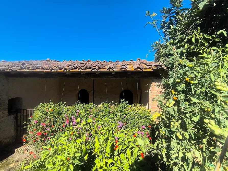 Immagine 26 di Casa colonica in vendita  a Sovicille