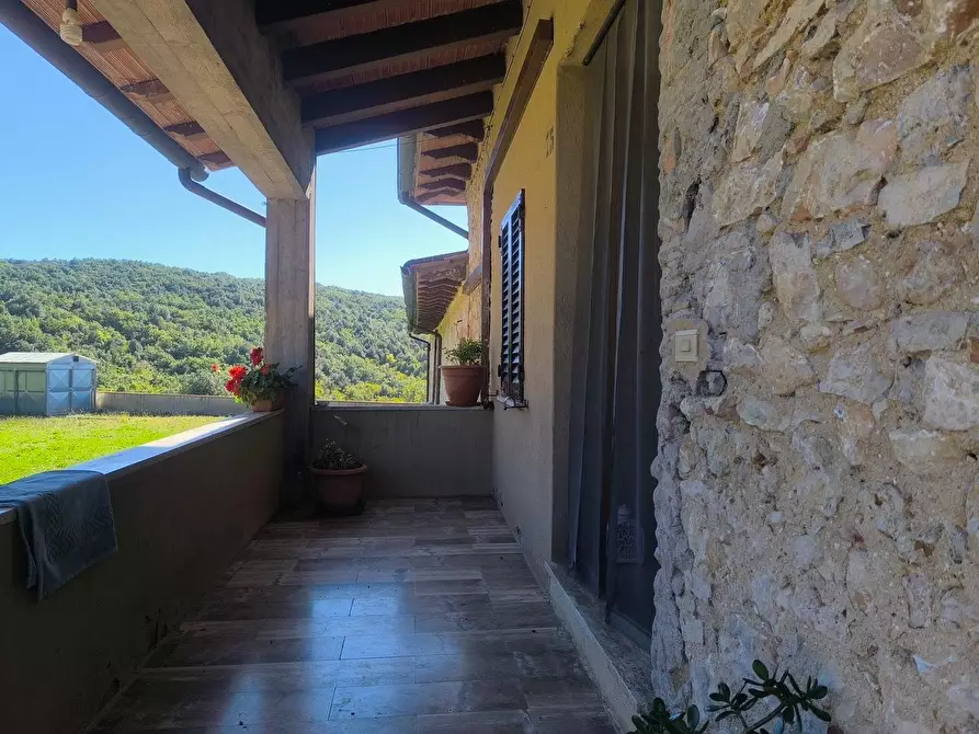 Immagine 42 di Casa colonica in vendita  a Sovicille