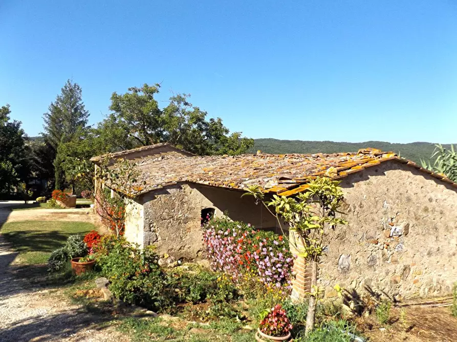 Immagine 12 di Casa colonica in vendita  a Sovicille
