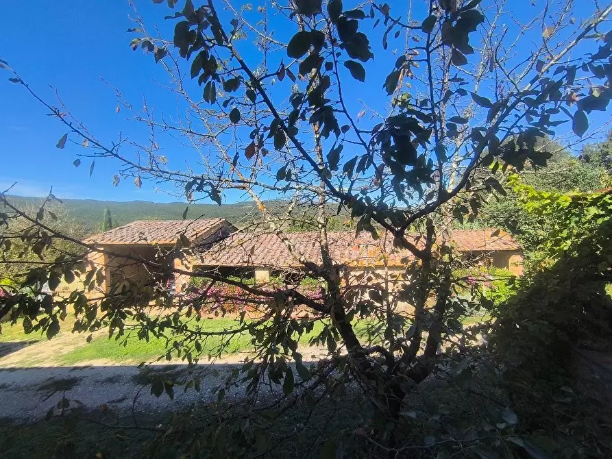 Immagine 6 di Casa colonica in vendita  a Sovicille