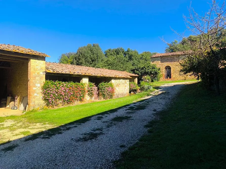 Immagine 2 di Casa colonica in vendita  a Sovicille