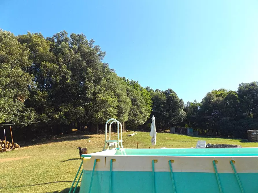 Immagine 27 di Casa colonica in vendita  a Sovicille