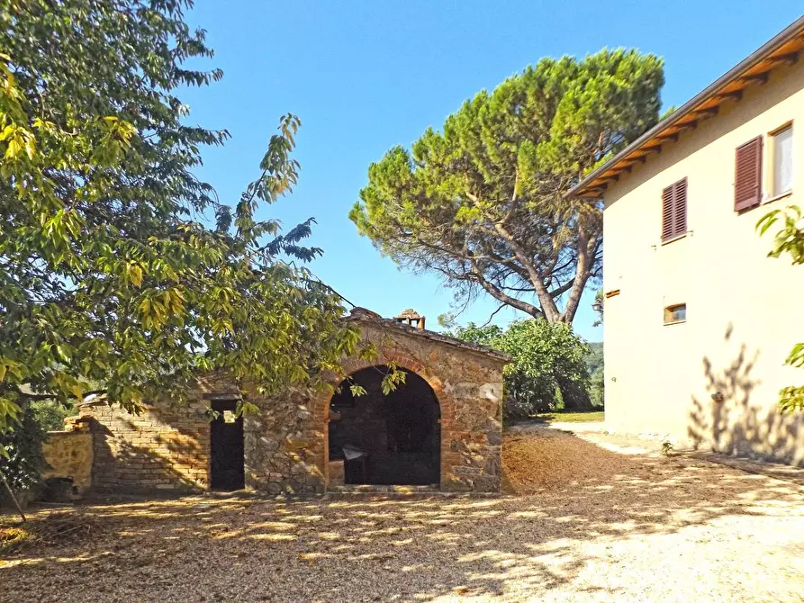 Immagine 13 di Casa colonica in vendita  a Sovicille