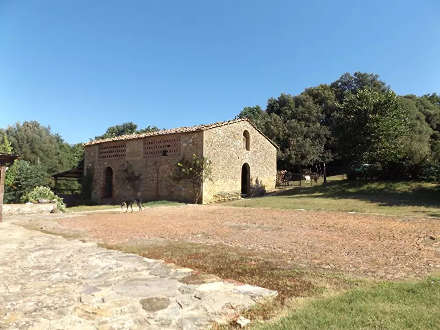 Immagine 11 di Casa colonica in vendita  a Sovicille