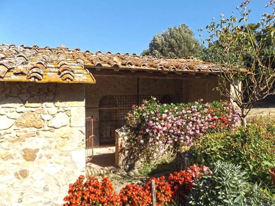 Immagine 5 di Casa colonica in vendita  a Sovicille