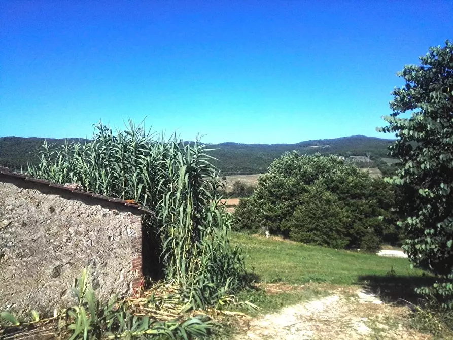 Immagine 25 di Casa colonica in vendita  a Sovicille