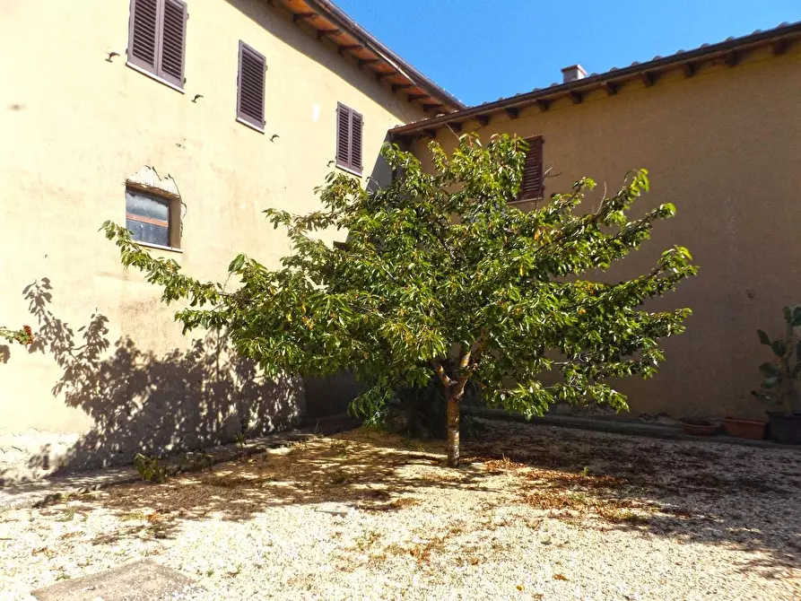 Immagine 19 di Casa colonica in vendita  a Sovicille