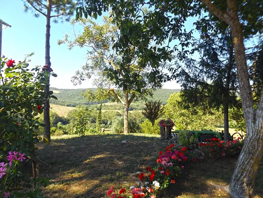 Immagine 69 di Casa colonica in vendita  a Sovicille