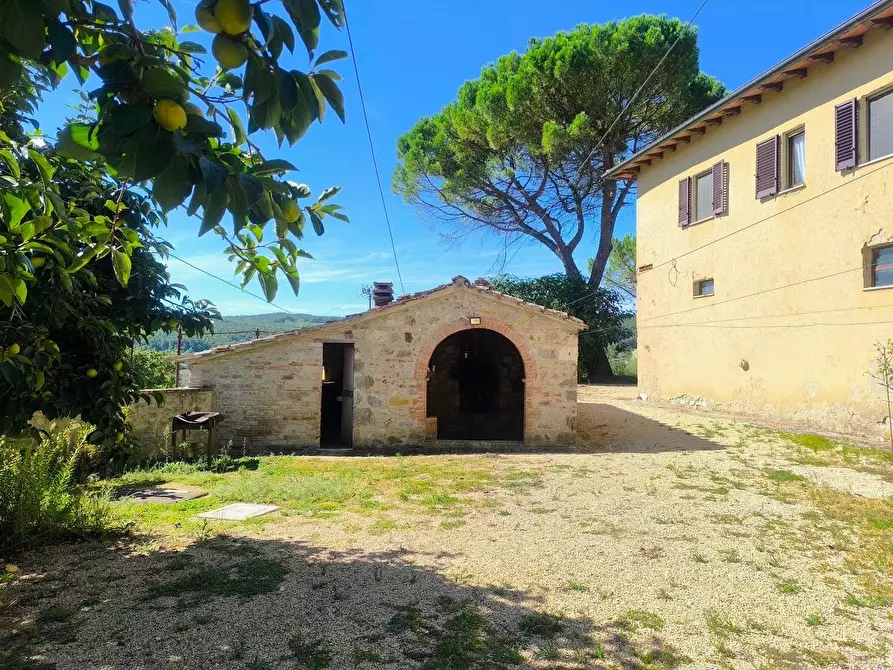 Immagine 18 di Casa colonica in vendita  a Sovicille