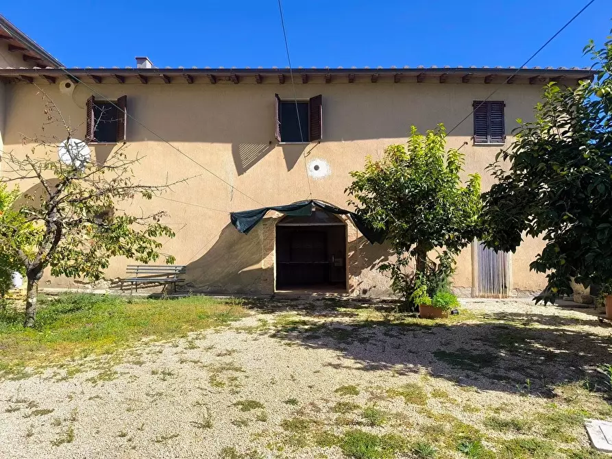 Immagine 16 di Casa colonica in vendita  a Sovicille