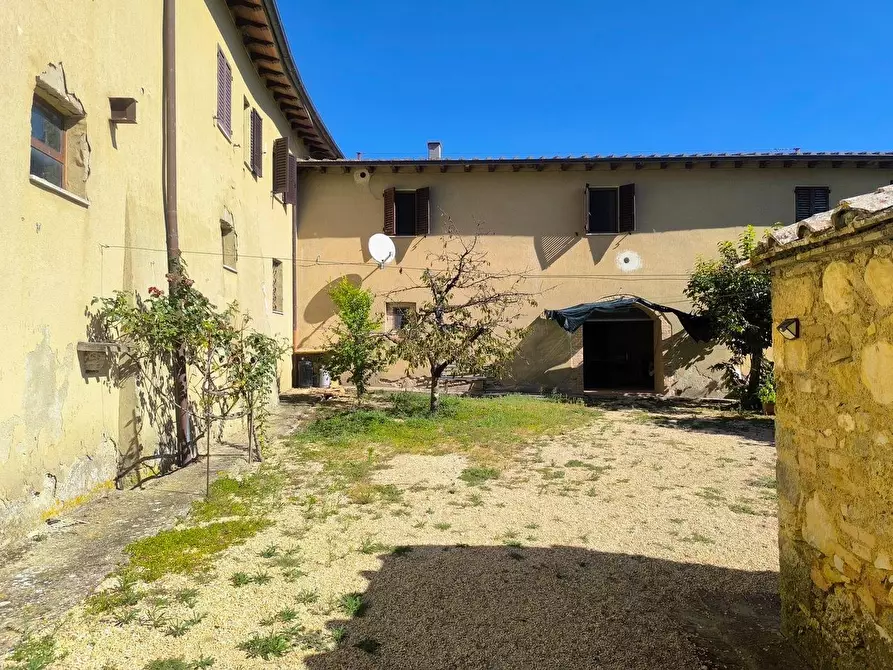 Immagine 15 di Casa colonica in vendita  a Sovicille