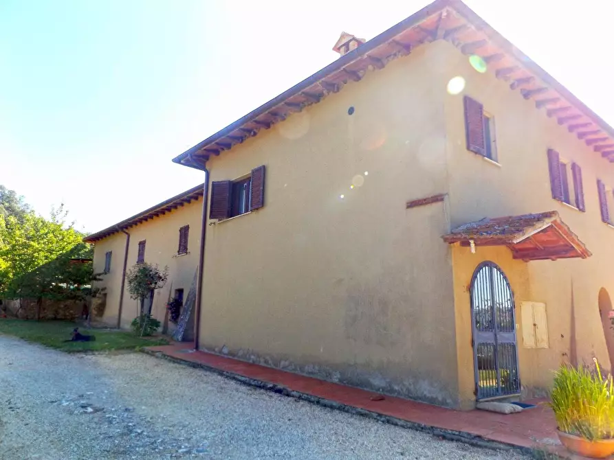 Immagine 22 di Casa colonica in vendita  a Sovicille